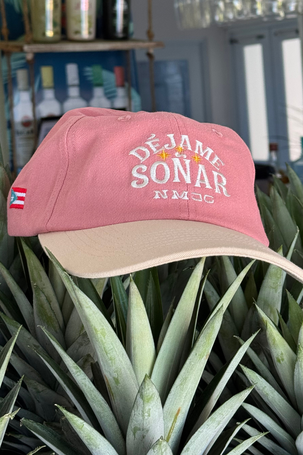 Déjame Soñar with PR Flag